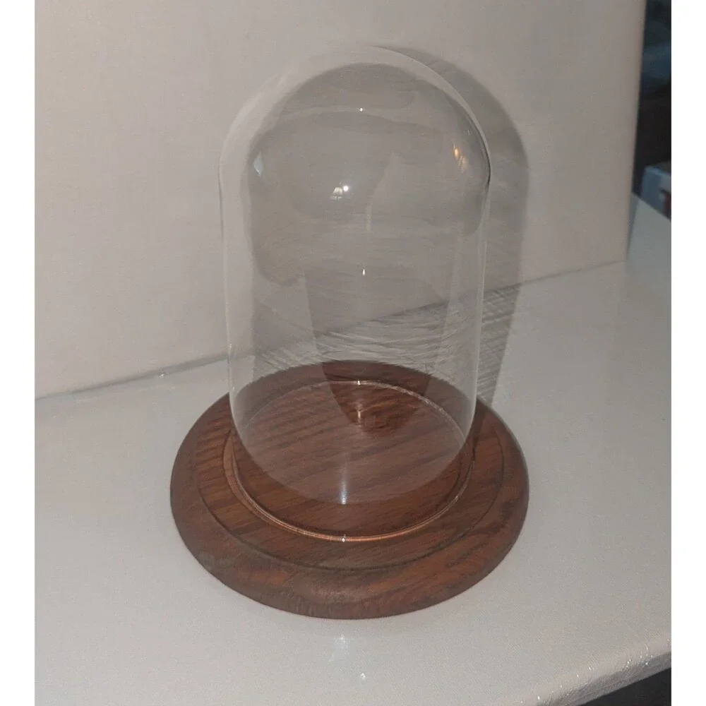 Vintage Glass Dome Display Cloche Bell Jar with Wooden Base 7
